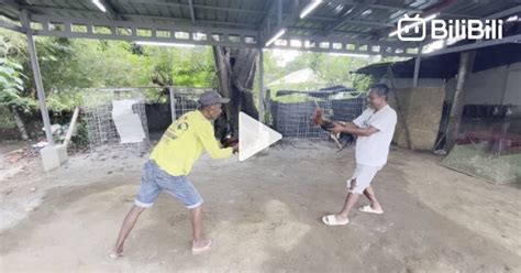 2 hits ulutan|2 Hits Ulutan .
